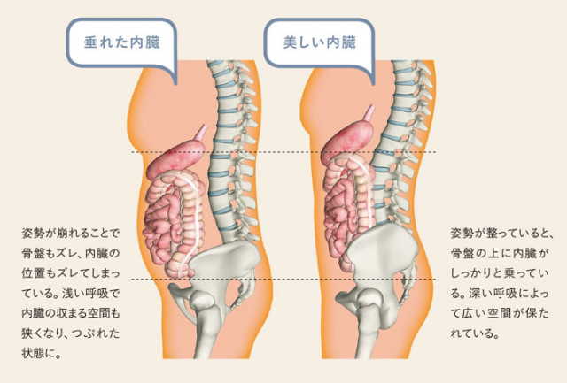 内臓調整によって体液循環がよくなり自然治癒力が向上するから