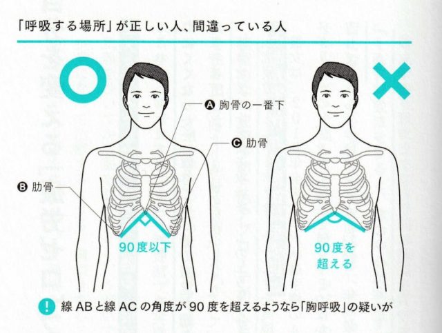 肋骨角度