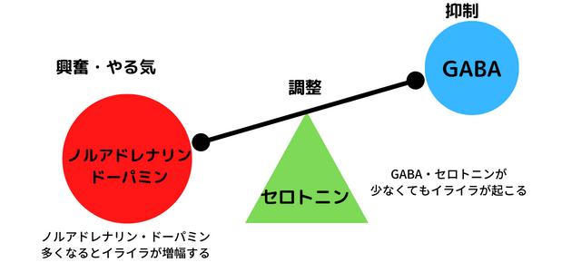 ホルモン